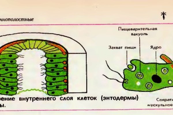 Kraken наркотики сайт