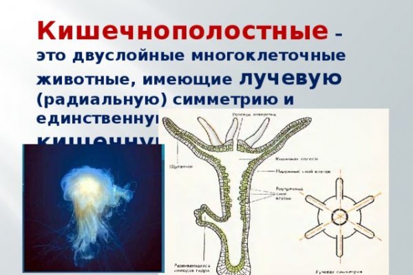 Наркошоп кракен